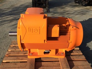 10408743_922528994477963_9182124448554199628_n